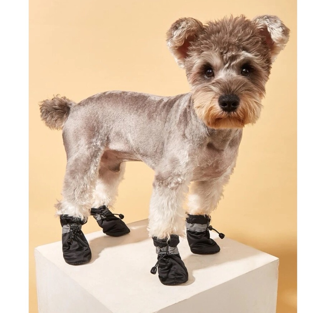 4pc Plain Pet Boots 🐕